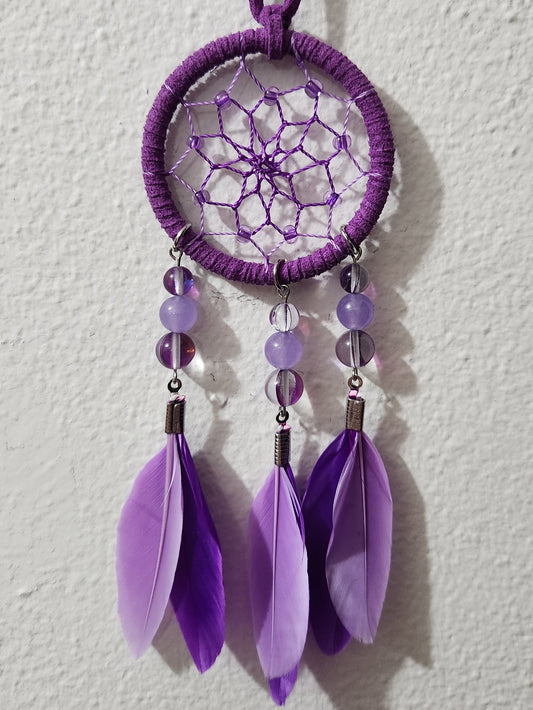 Mini - Purple & Purple
